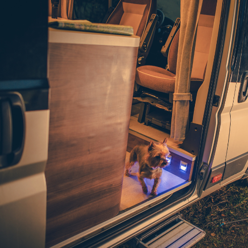 Camper huren met hond